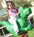 Spring animals, spring toys, spring riders - mustang - playground equipment
