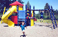 Sturdy Fort Ticonderoga playground equipment structure.