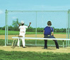 Baseball backstops, baseball screens, sports equipment