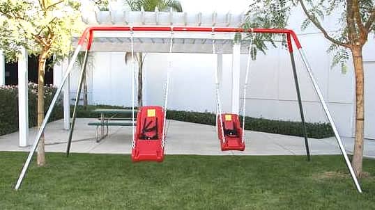 Special Needs Swing Sets 2 Seats